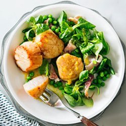 Scallop, Prosciutto, and Mâche Salad