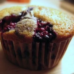 Fresh Blackberry Muffins