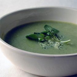 Zucchini-Buttermilk Soup with Watercress Pesto