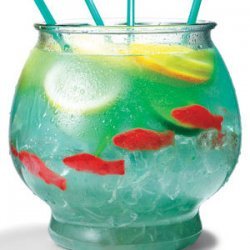 Fish Bowl