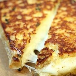 Grilled Mozz