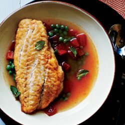 Snapper in Tomato Broth