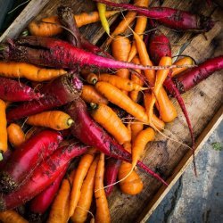 Mashed Root Vegetables