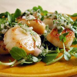 Seared Scallops with Parsley-Thyme Relish