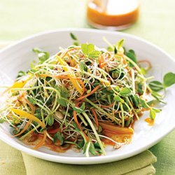 Spicy Sunflower Salad with Carrot Dressing