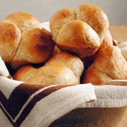 Cloverleaf Honey-Wheat Rolls