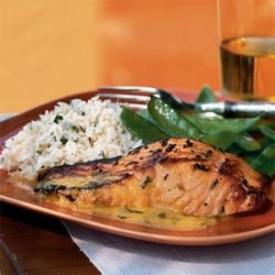 Salmon with Orange-Fennel Sauce