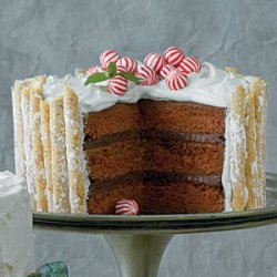 Peppermint-Hot Chocolate Cake