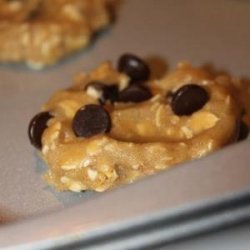 Vegan Chocolate Chip Cookies