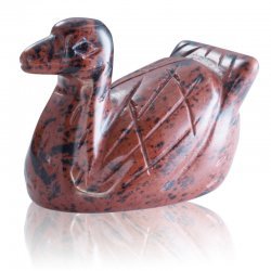 Mahogany Duck