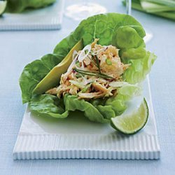 Spicy Asian-Chicken-Salad Lettuce Cups