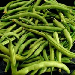 Steamed Green Beans