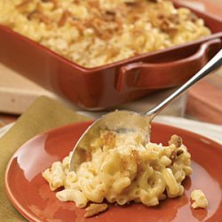 Creamy Four-Cheese Macaroni