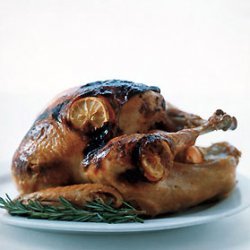Rosemary Citrus Miso-Rubbed Turkey