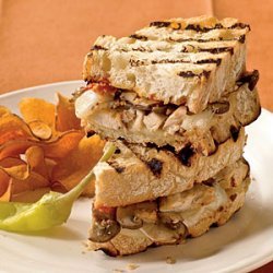 Chicken and Mushroom Panini