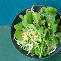 Arugula, Fennel, and Preserved Lemon Salad