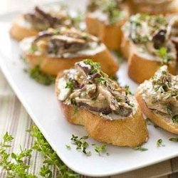 Shiitake Ragoût on Chèvre Crostini