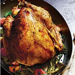 Apple-Poblano Whole Roast Turkey