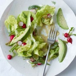 Butter Lettuce, Radish and Avocado Salad with Mustard Dressing