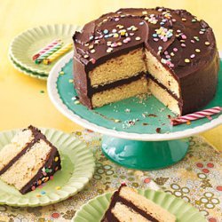 Yellow Cake with Fudge Frosting