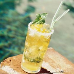 Classic Mint Julep