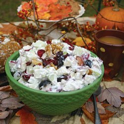 Cranberry Waldorf Salad