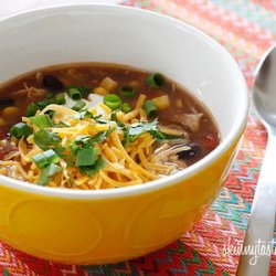 Crock Pot Chicken Enchilada Soup