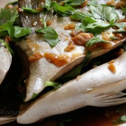 Wine-Baked Pompano In Sauce