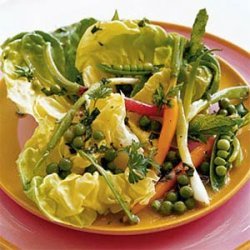 Salad of Spring Vegetables with Green Pea Vinaigrette