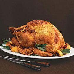 Roast Turkey with Sage and Orange Gravy