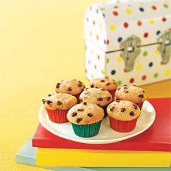 Mini Chocolate- Chip Cupcakes