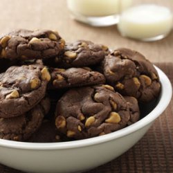 Chocolate Peanut Butter Cookies