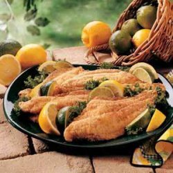 Golden Catfish Fillets