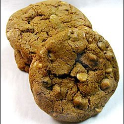 The Best Double Chocolate Chip Cookie