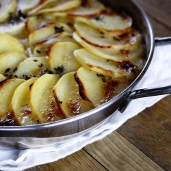 Golden Potato Gratin