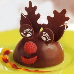 Chocolate Moose