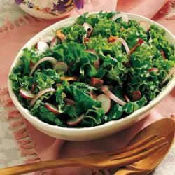 Wilted Leaf Lettuce Salad