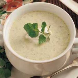 Asparagus Cress Soup