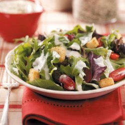 Ranch Dressing Mix Plus