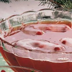 Cranberry Party Punch