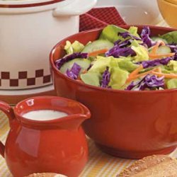 Creamy Salad Dressing