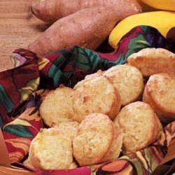 Yellow Squash Muffins