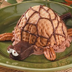 Ice Cream Turtle