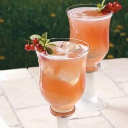 Cranberry Spritzer