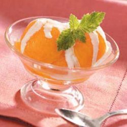 Glazed Apricot Sorbet