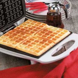 Cottage Cheese Waffles