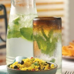 Refreshing Mojito