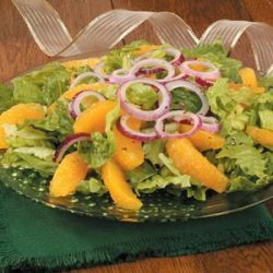 Orange and Red Onion Salad