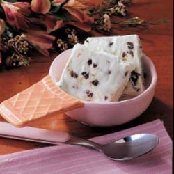 Easy Mint Chip Ice Cream