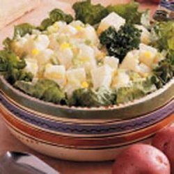 Old-Fashioned Potato Salad